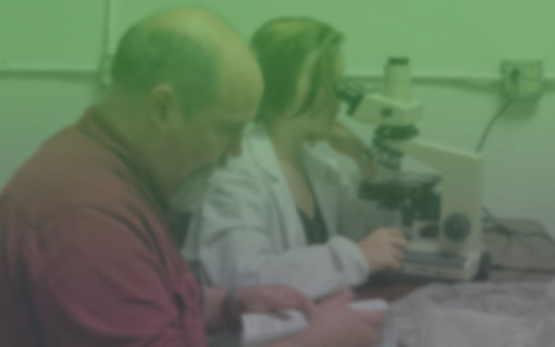 Fall 2019 | Upcoming US Academic & Government discount changes