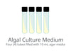 Trebouxia Medium Recipe | UTEX Culture Collection of Algae