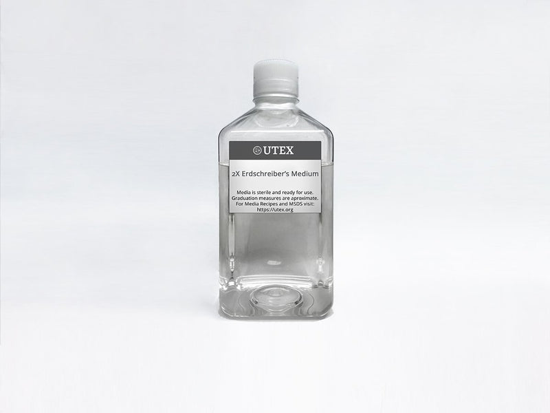 2X Erdschreiber's Medium