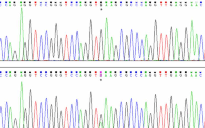Strain Identification