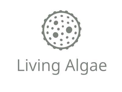 UTEX B 3172 Monoraphidium minutum | UTEX Culture Collection of Algae