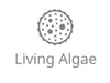 UTEX LB 2487 Lagerheimia subsalsa | UTEX Culture Collection of Algae