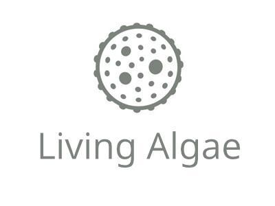 UTEX LB 2923 Stigeoclonium variabile | UTEX Culture