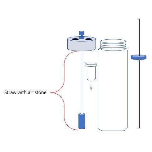 Photobioreactor Upgrade: 2-Liter metal straw with air stone and