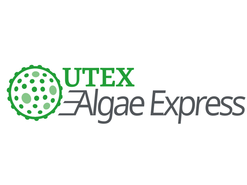 <strong>Algae Express</strong> <br>UTEX 1237 <br><i>Scenedesmus dimorphus</i>