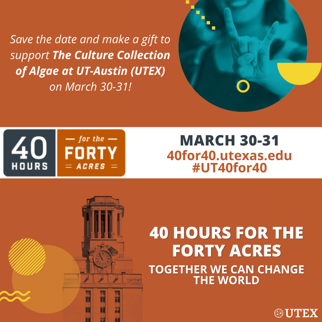 40 Hours for the Forty Acres, The University of Texas at Austin's annual day of giving, is tomorrow!