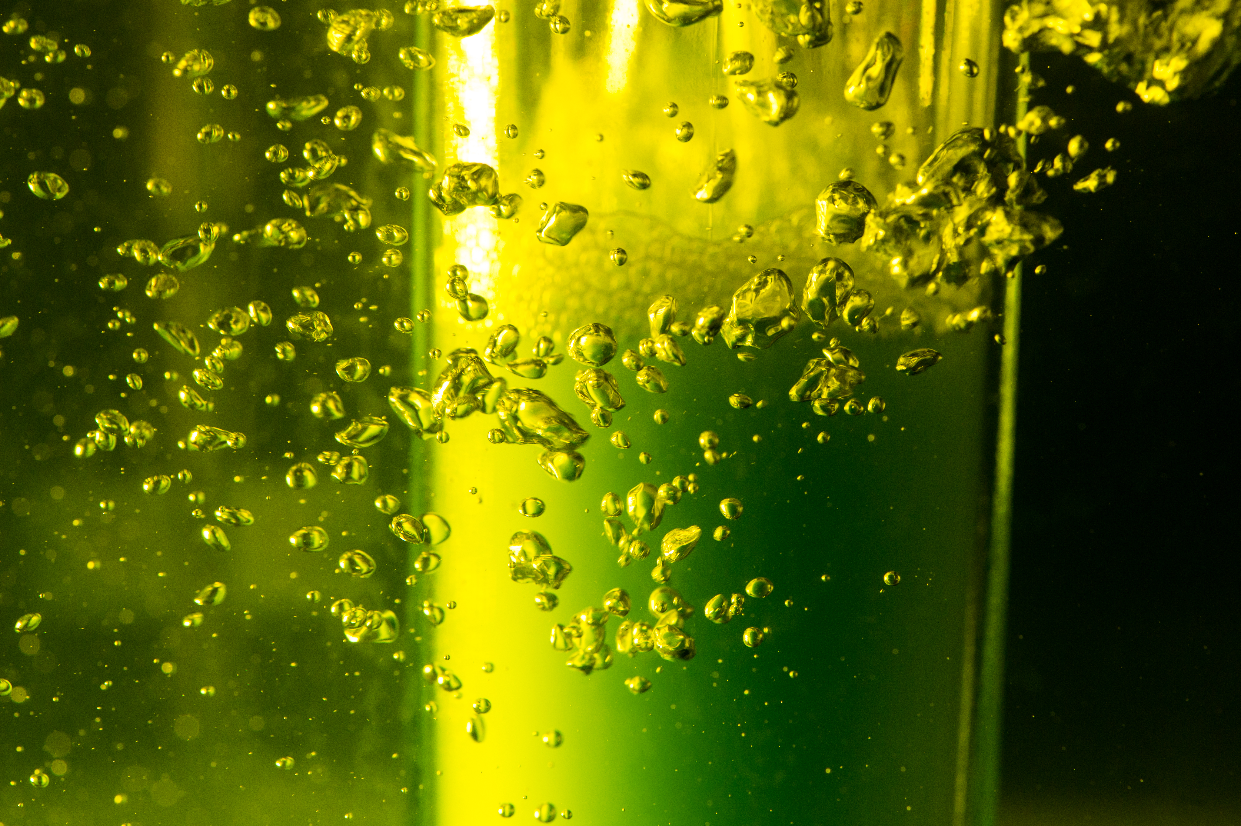 A chlorella strain of algae grow in a tent reactor developed at NREL that controls light, CO2 delivery, and temperature to establish baseline growth curves and recreate real-world growth conditions for strains of algae. (Photo by Dennis Schroeder / NREL)