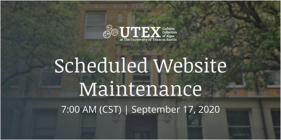 Scheduled Website Maintenance: September 17, 2020 - 7:00 AM CST | utex.org