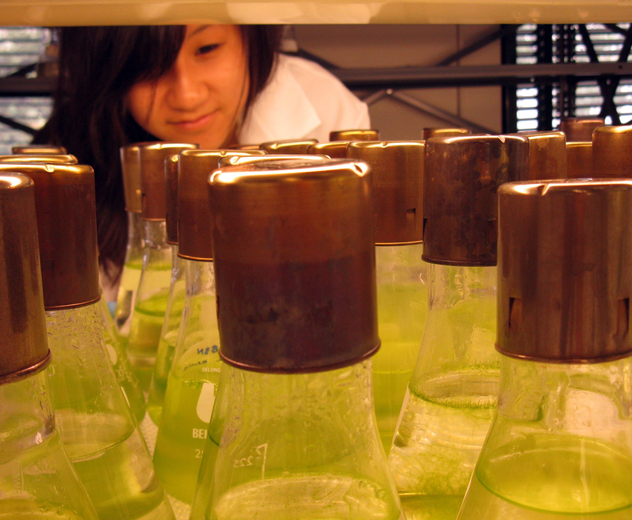 2016 USCCN Internship Program