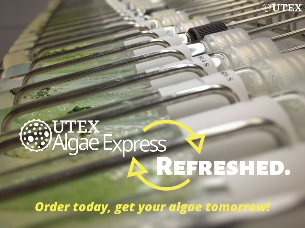 2019 UTEX Algae Express. Refreshed.