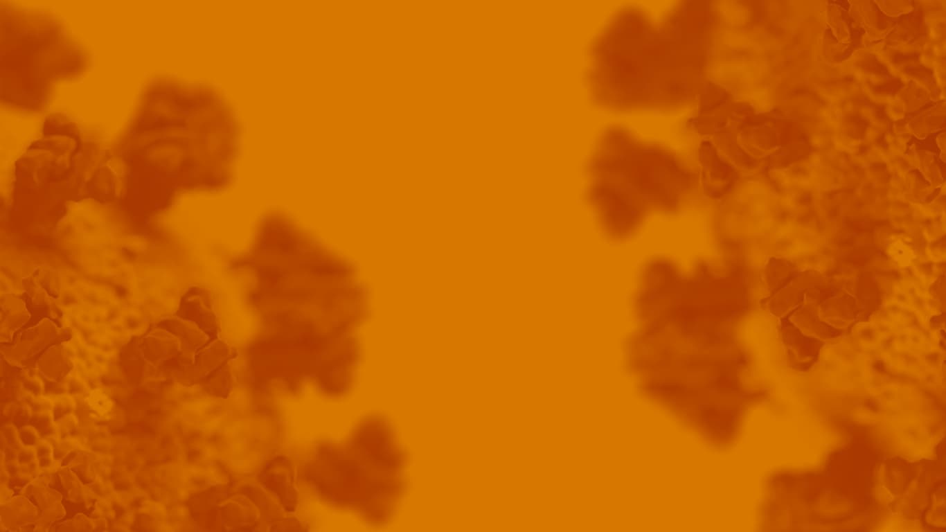 A Message From The Curator | June 2020 | COVID-19 Update