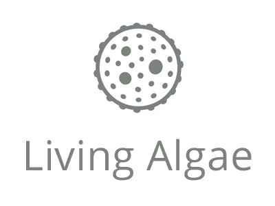 An important notice for UTEX customers in Russia