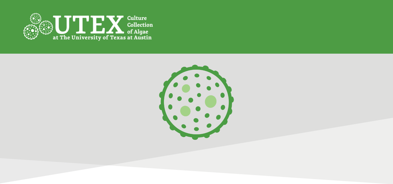 Dr. Schonna Manning Concluding Tenure as UTEX Director of Research & Development