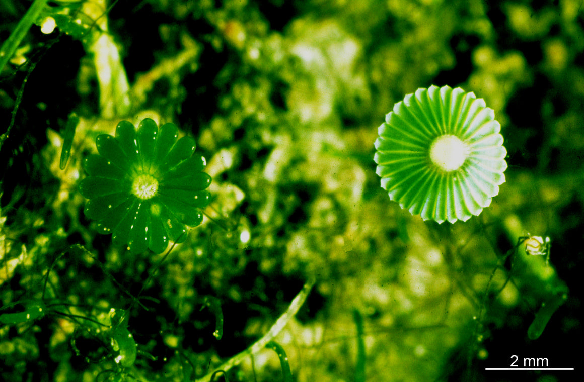 Featured In Social Media