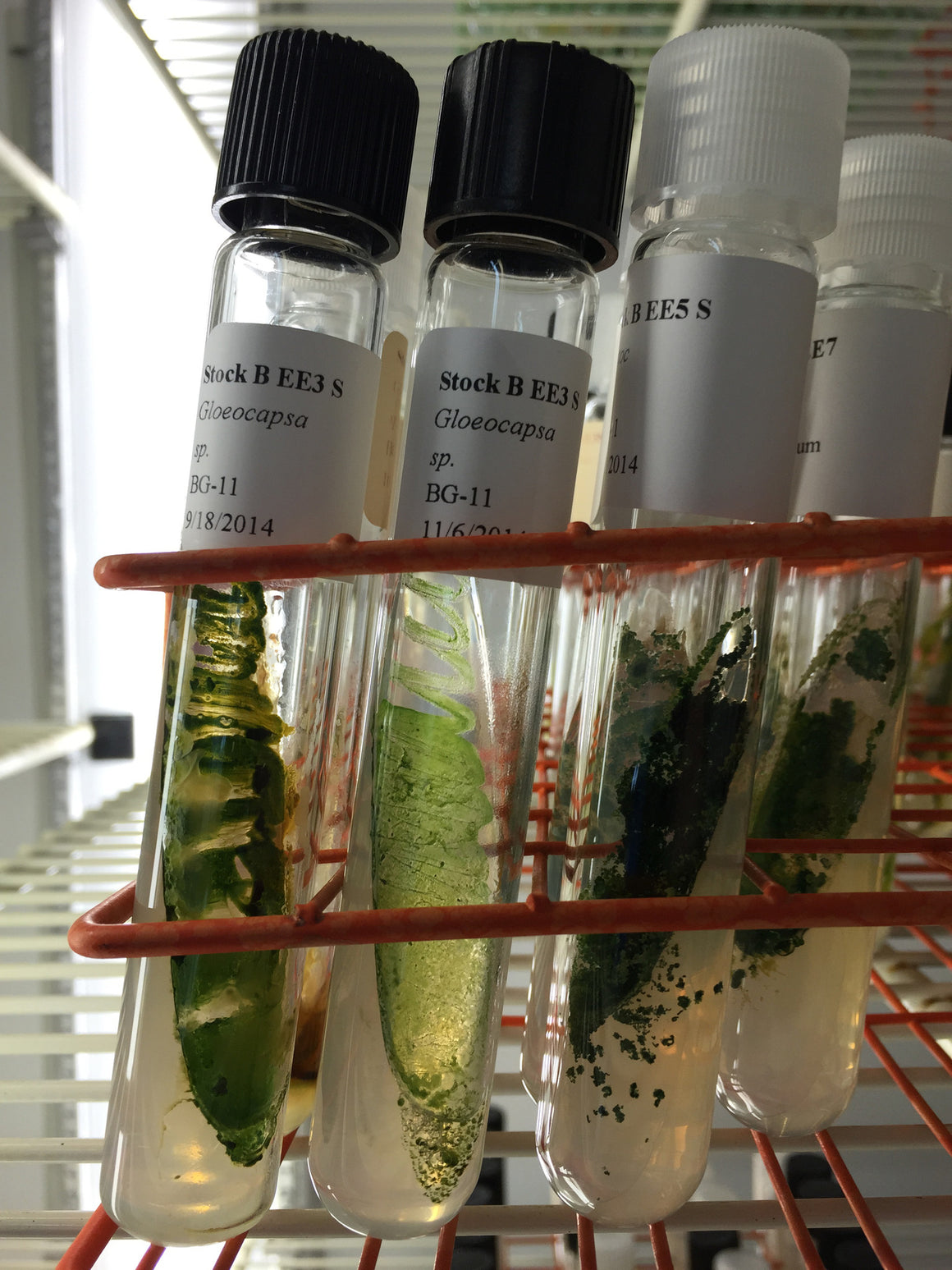 Extreme Environment Collection