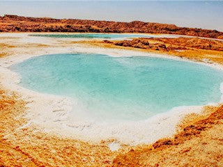 Brine Water Media | UTEX Culture Collection of Algae