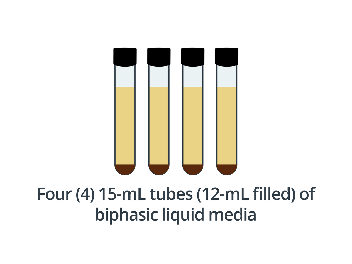 Ag Diatom Medium UTEX Culture Collection of Algae