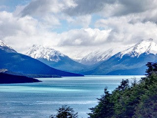 Freshwater Media | UTEX Culture Collection of Algae