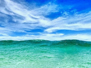 Saltwater Media | UTEX Culture Collection of Algae