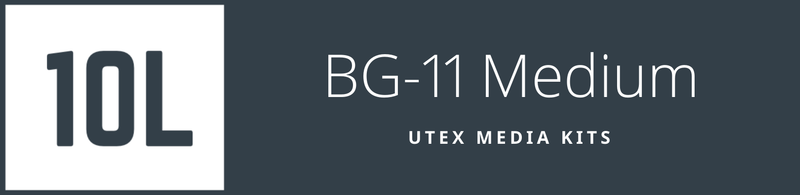 10L Media Kit: BG-11 Medium