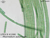 UTEX B 1580 Phormidium autumnale | UTEX Culture Collection of Algae