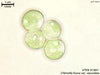 UTEX B 1801 Chlorella fusca var. vacuolata | UTEX Culture Collection of Algae