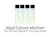 F/2 Medium: Four (4) 10-mL tubes of agar media | UTEX Culture Collection of Algae