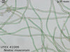 UTEX 2209 Nostoc muscorum | UTEX Culture Collection of Algae