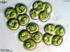 UTEX LB 2568 Gonium pectorale | UTEX Culture Collection of Algae
