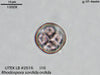 UTEX LB 2616 Rhodospora sordida | UTEX Culture Collection of Algae