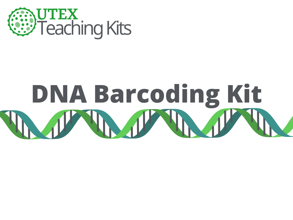 Teaching Kit: DNA Barcoding Kit | UTEX Culture Collection of Algae