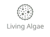 UTEX LB 3052 Plagiogramma staurophorum | UTEX Culture Collection of Algae