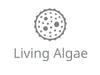 UTEX LB 1123 Closterium evesiculatum | UTEX Culture Collection of Algae