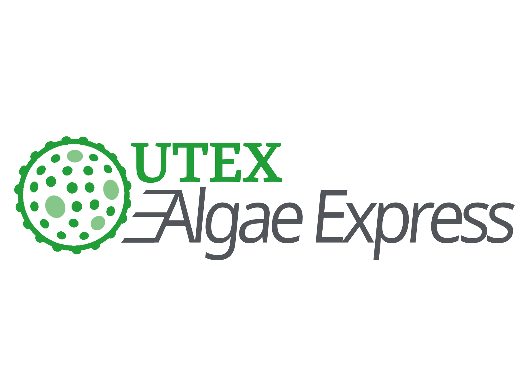 Traitement Algae-X / Akua Design