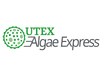 Algae Express UTEX 1230 Chlorella sorokiniana | UTEX Culture Collection of Algae