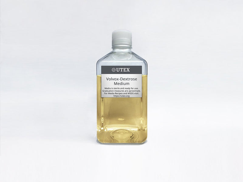 Volvox-Dextrose Medium